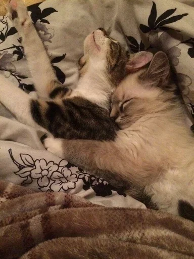 Стикер 😜😋😛 :: @fStikBot - 10