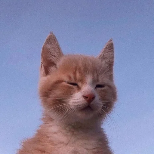 Стикер 😜😋😛 :: @fStikBot - 9