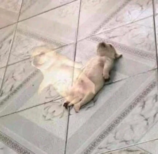 Стикер 😜😋😛 :: @fStikBot - 8