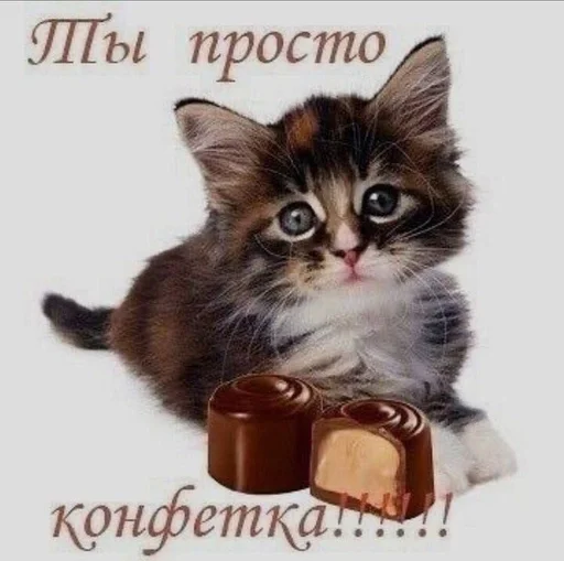 Стикер 😜😋😛 :: @fStikBot - 3