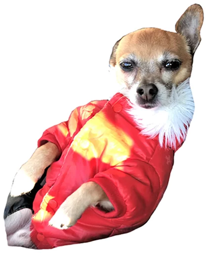 Альфач Снупп - 