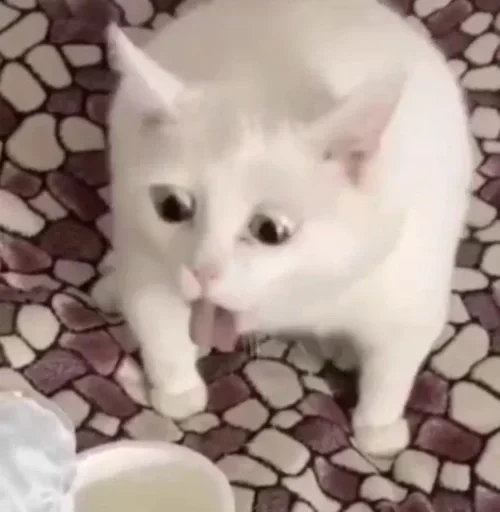 Стикер amaadilyy :: @fStikBot - 6