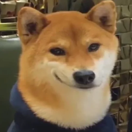 Стикер kh :/ - @amirMS19 - (3) - 7