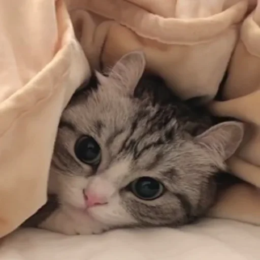 Стикер kh :/ - @amirMS19 - (3) - 6