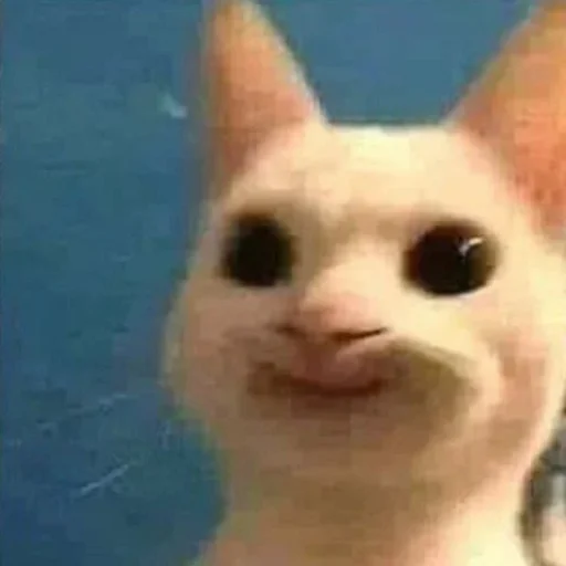 Стикер kh :/ - @amirMS19 - (3) - 1