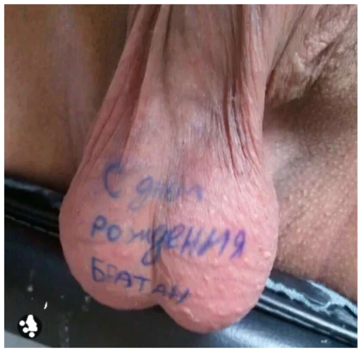 Стикер ya_ne_chmo by @fStikBot - 11