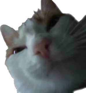 Стикер айфон ебёт - 10