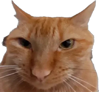 Стикер айфон ебёт - 3