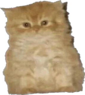 Стикер айфон ебёт - 2