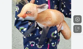 Стикер Амонг ас и бт @MoiStikiBot - 4