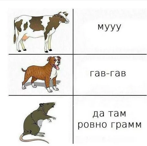 животное СМС скот