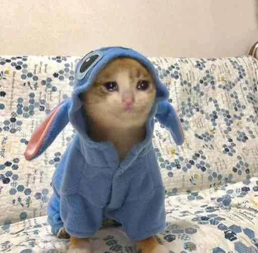 indoor human face toy