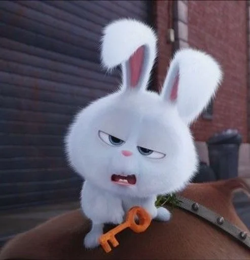 кролик млекопитающее кролики и зайцы