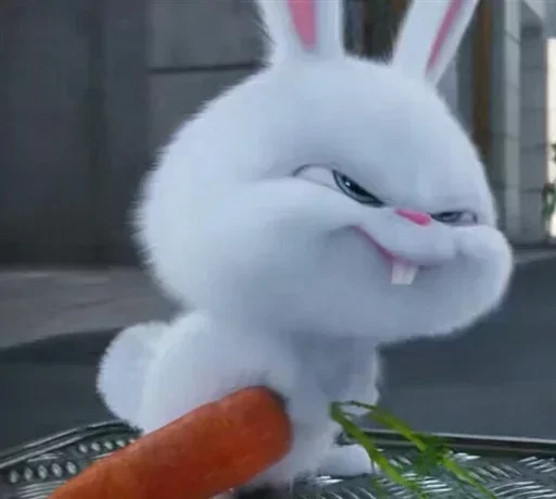кролик кролики и зайцы морковь