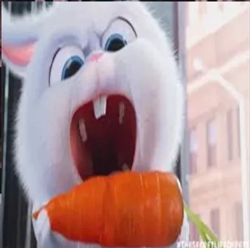 мультфильм талисман овощ