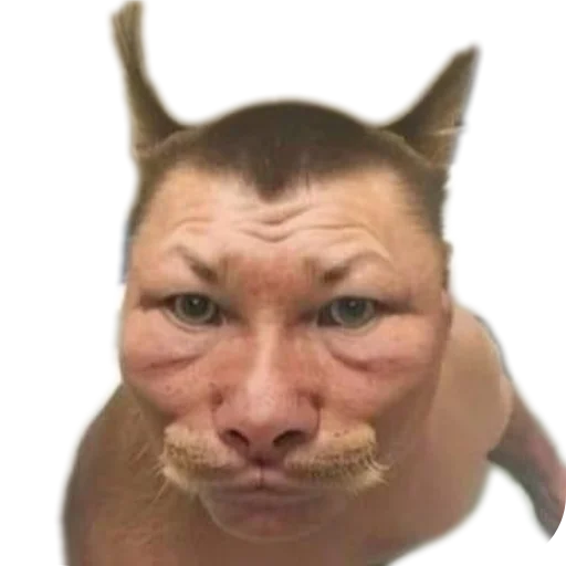 Стикер an13mee - 1