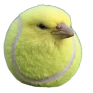 Стикер НЕ ПЕРЕХОДИ 💀 @St1ker_TV - 9