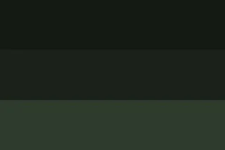 Sticker ANTI-LNR ACTION t.me/TruhDNR - 11