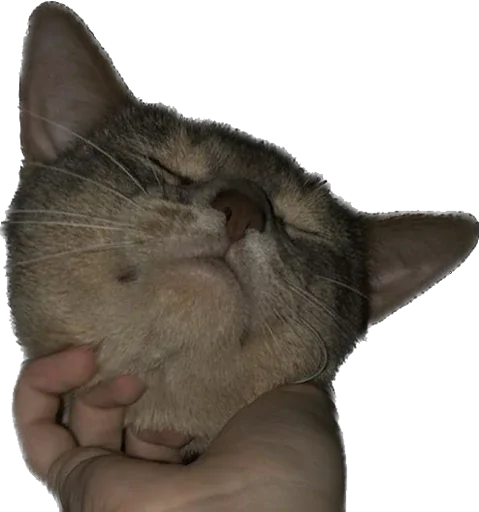 Стикер anadrey - 1