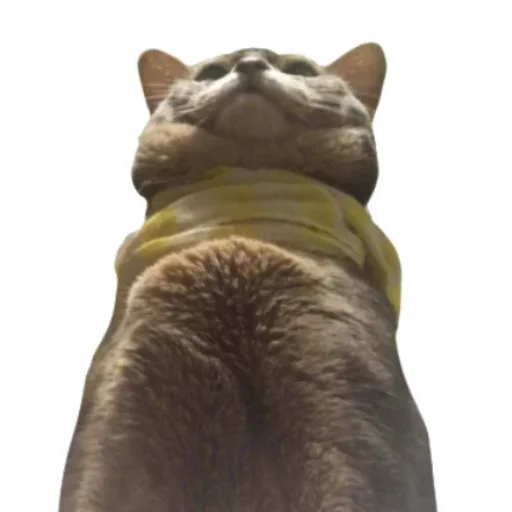 Юджин и Юша - 