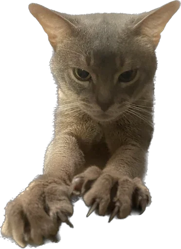 Стикер anadrey - 1