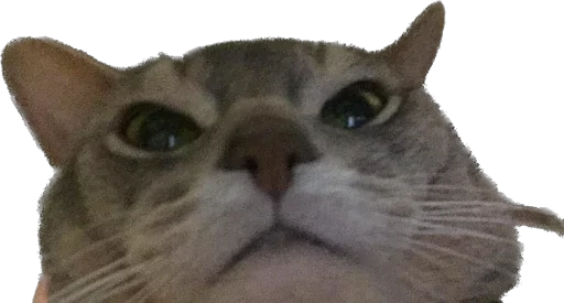 Стикер anadrey - 1