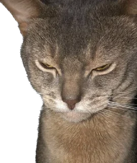 Sticker Юджин и Юша - 1