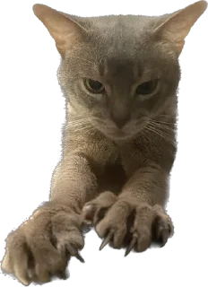 Sticker Юджин и Юша - 8