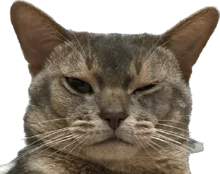 Sticker Юджин и Юша - 11