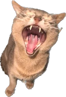 Sticker Юджин и Юша - 5