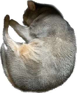 Sticker Юджин и Юша - 2