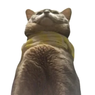 Sticker Юджин и Юша - 9