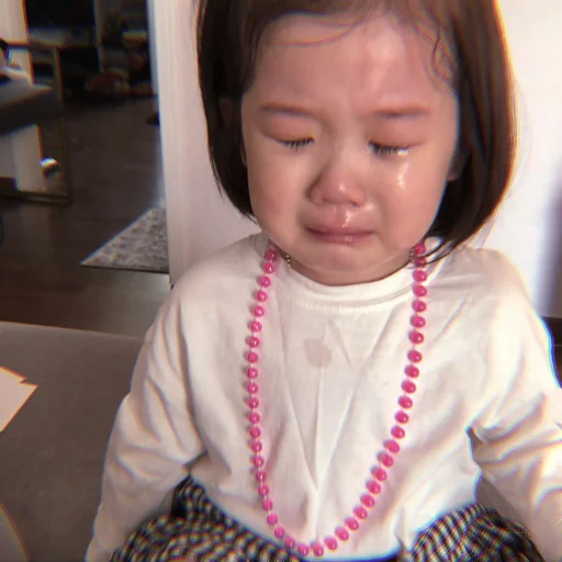 Человек человеческое лицо комнатный