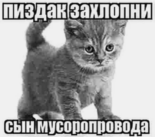 Стикер analmamonta2 - 1