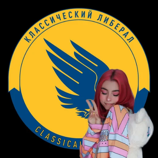 Стикер ancap_dora - 1