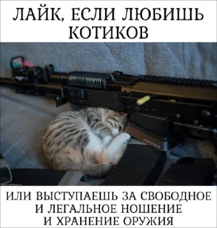 Sticker дора - 11