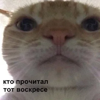 Стикер andreoff - 5