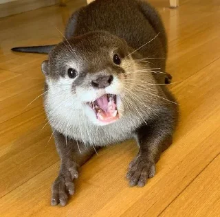 Стикер выдрочки - 3