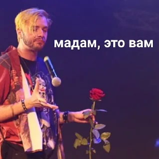 Sticker pyroжок - 1