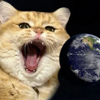 Sticker андрюша пиро моя религия @elllynx - 5