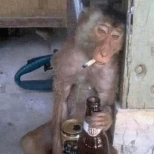 андюхаванлав - 