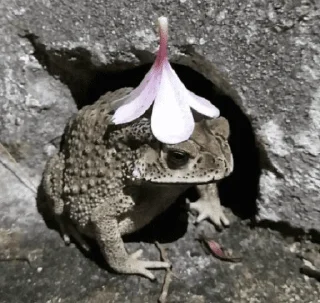 Sticker андюхаванлав - 3