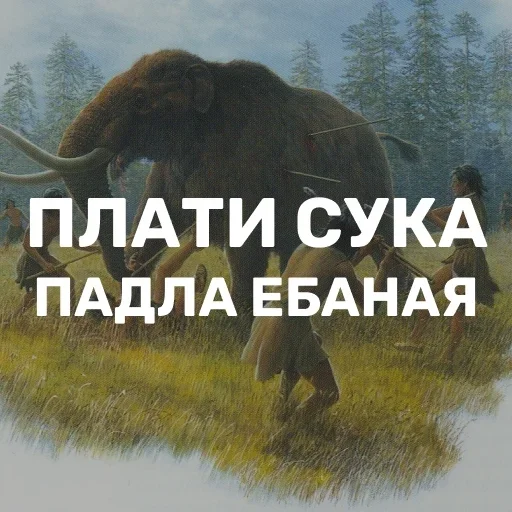 скам))) by @fStikBot - СМС