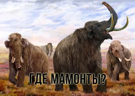 животное млекопитающее на открытом воздухе