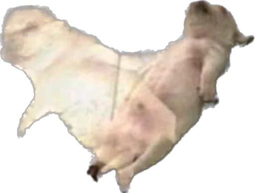 Стикер anetblog - 1