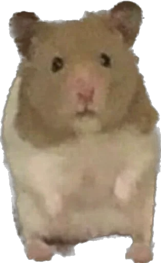 Стикер хз - 7