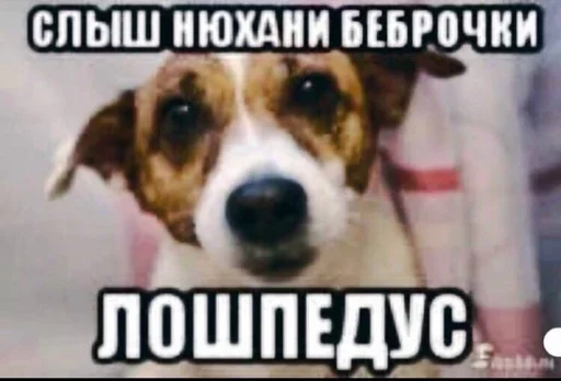 Sticker анечкина хуйня - 10