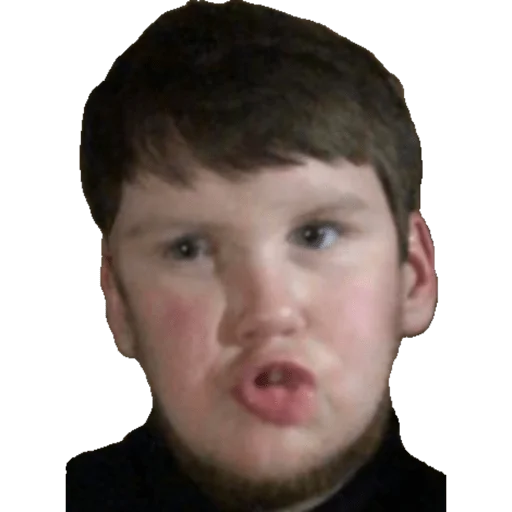 Sticker aniimaalllss - 1