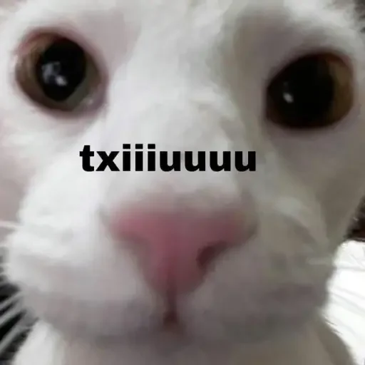 Sticker animalespack1 - 1