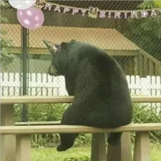 Стикер animales - 1